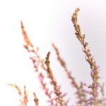 缓慢而有力的往里挺送视频 rmum9xivp