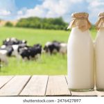 国产精品每日更新在线 yrb5ws8x5